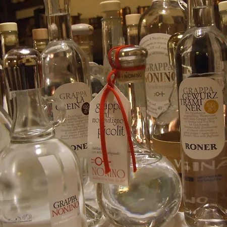 Dolomites Base Camp Olympia