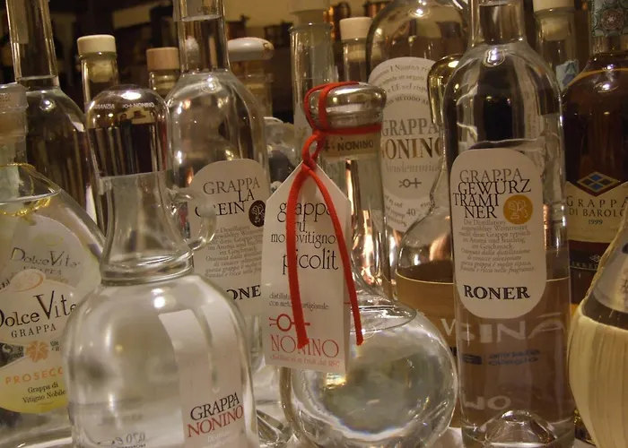 Dolomites Base Camp Olympia